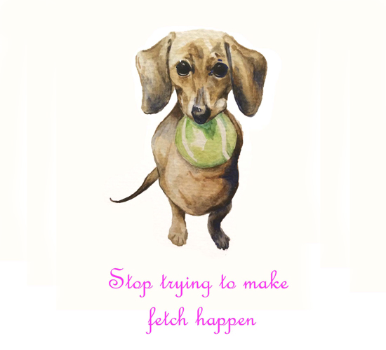 stop trying to make fetch happen