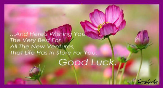 Good Luck For Your New Ventures. Free Good Luck eCards, Greeting Cards ...