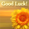 Everyday Good Luck Cards, Free Everyday Good Luck Wishes, Greeting ...