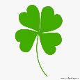 Good Luck To You. Four Leaf Clover.