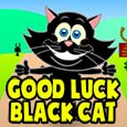 Good Luck Black Cat...