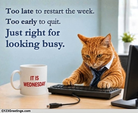 A Playful Wednesday Note.
