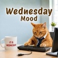 A Playful Wednesday Note.