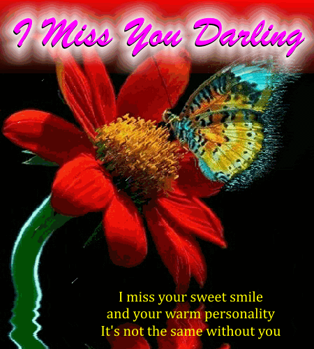 A Very Lovely Miss You Ecard.
