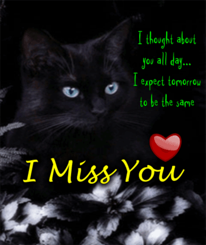A Cute Miss You Ecard For You.