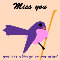 Miss You, Bird...