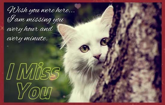 Miss You Every Hour And Every Minute. Free Miss You eCards | 123 Greetings