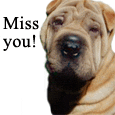 Missing Your Sweetheart?