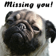 I Miss You!