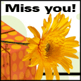 Missing You A Lot!