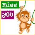 Miss Hanging Out With Someone?