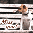 Because You Are Not Here!