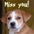 I Am Missing You!
