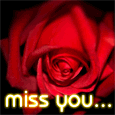 I Miss You A Lot!