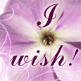 Wish We Could Be Together!