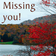 Missing Your Presence!