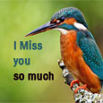 Still, I Miss You!