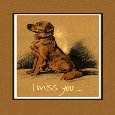 Golden Retriever Dog Missing You!