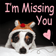 Missing You Beagle!!
