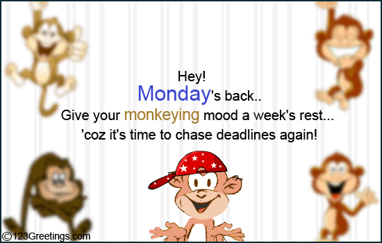 Monday Is Back!