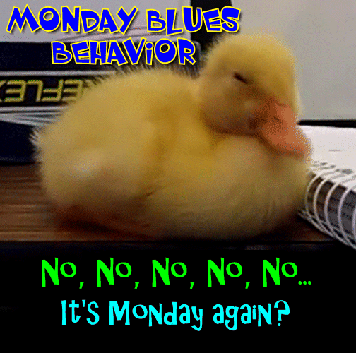 Monday Blues Behavior.