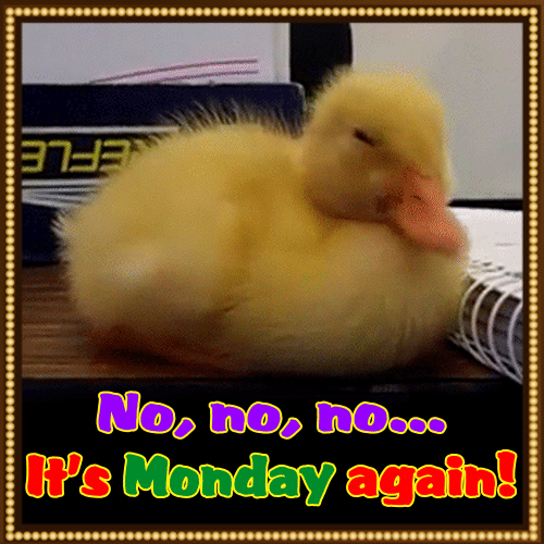 No... It’s Monday Again!