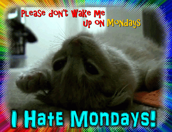 Don’t Wake Me Up On Mondays.