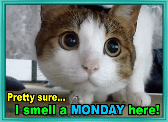 I Smell A Monday Here!