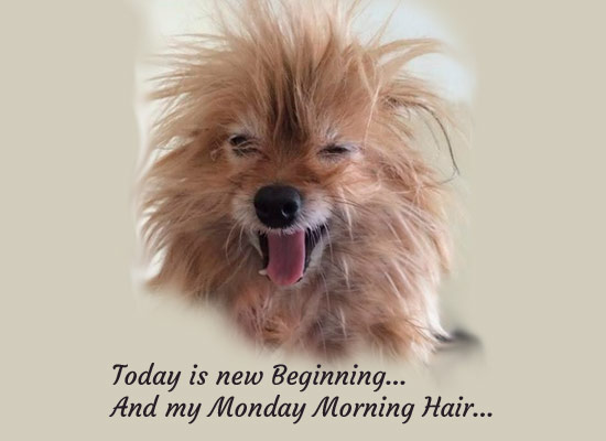 My Monday Morning Hair...