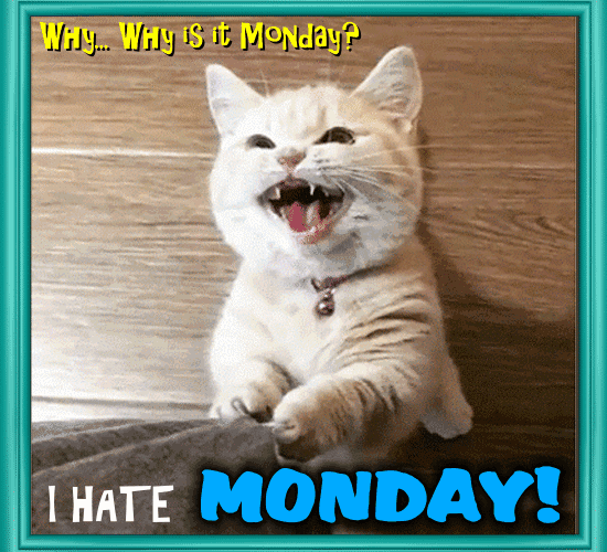 Why Is It Monday?