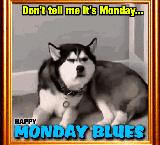 Don’t Tell Me It’s Monday...