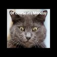 Everyday Monday Blues Cards, Free Everyday Monday Blues Wishes | 123 ...