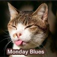 This Is Not My Friday Face!