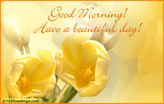 Have A Beautiful Day!