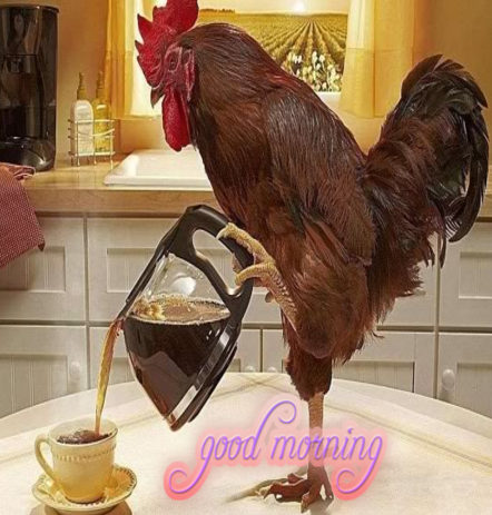 A Morning With Tea. Free Good Morning eCards, Greeting Cards | 123 ...