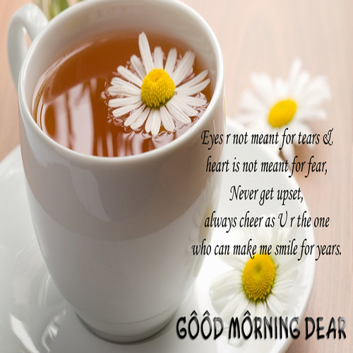 Morning Is To Smile. Free Good Morning eCards, Greeting Cards | 123