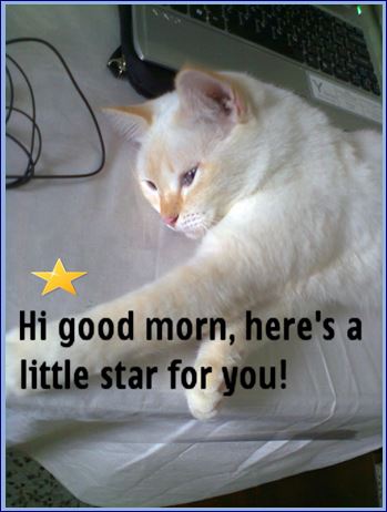 Good Morning, Here’s A Star...