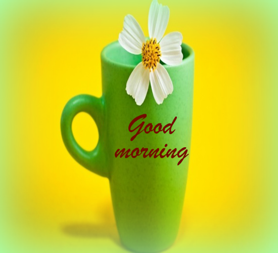 For A Fresh And Healthy Morning! Free Good Morning eCards | 123 Greetings