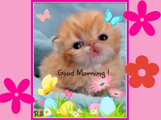 A Cute Good Morning Wish For You.