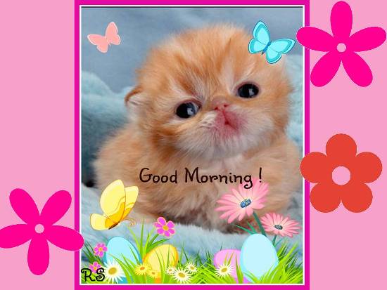 A Cute Good Morning Wish For You. Free Good Morning eCards | 123 Greetings