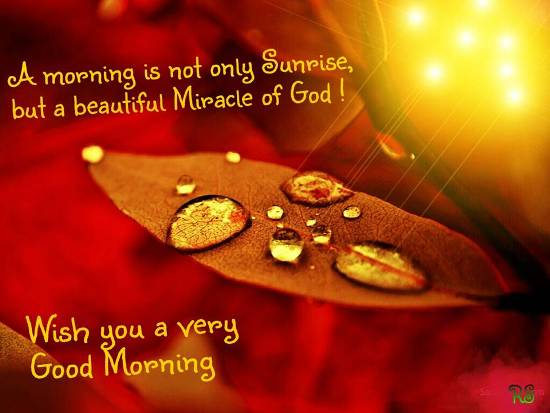 A Morning Is A Miracle Of God!