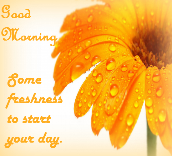 Some Freshness To Start Your Day! Free Good Morning eCards | 123 Greetings