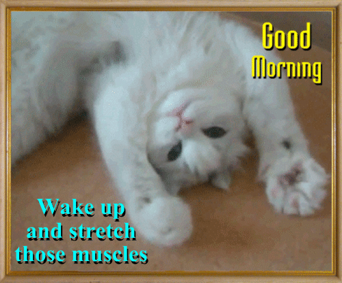 A Morning Exercise Card...