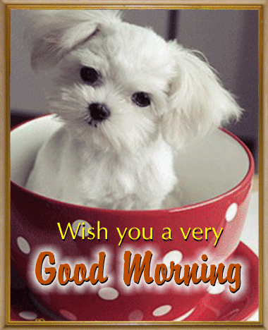 Doggy Says Good Morning!