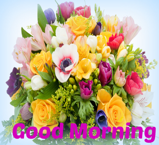 Fresh Flowers Of Morning For You!
