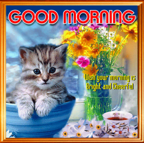 Good Morning Kitty Card.