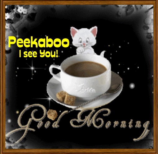 Peekaboo! Good Morning.