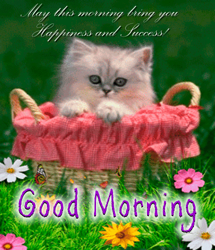 A Nice Morning Ecard Just For You.
