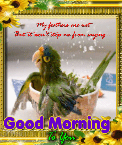 Bird Says Good Morning To You.