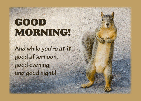 Good Morning Greetings Funny Squirrel.